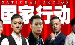 国家行动电视剧全集,揭秘惊心动魄的正义之战
