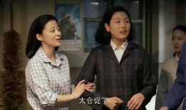 电视剧姐夫,揭秘现代都市情感纠葛与家庭伦理冲突