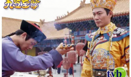 九五至尊电视剧,宫廷权谋与爱恨情仇的巅峰对决